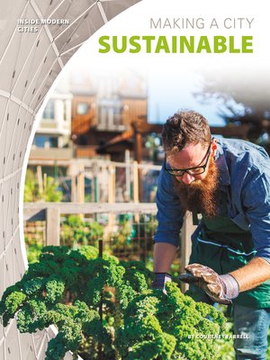 cover image of Making a City Sustainable